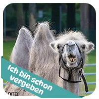 Anna hat schon<br>eine Patenschaft