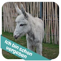 Betty hat schon<br>eine Patenschaft