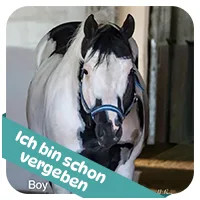 Boy hat schon<br>eine Patenschaft
