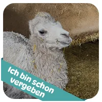 Daisy hat schon<br>eine Patenschaft