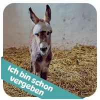 Dori hat schon<br>eine Patenschaft