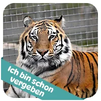 Jazairy hat schon<br>eine Patenschaft
