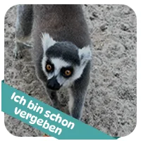 Julien hat schon<br>eine Patenschaft