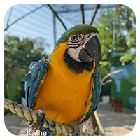 Käthe<br>700,- € / Jahr