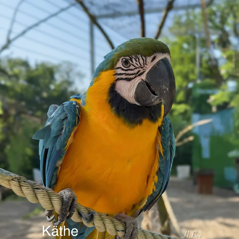 Käthe<br>700,- €