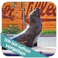 Lappy hat schon<br>eine Patenschaft