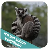 Maurice hat schon<br>eine Patenschaft