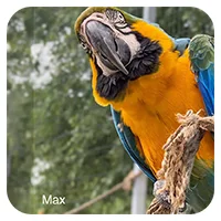 Max<br>700,- € / Jahr