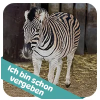 Max hat schon<br>eine Patenschaft