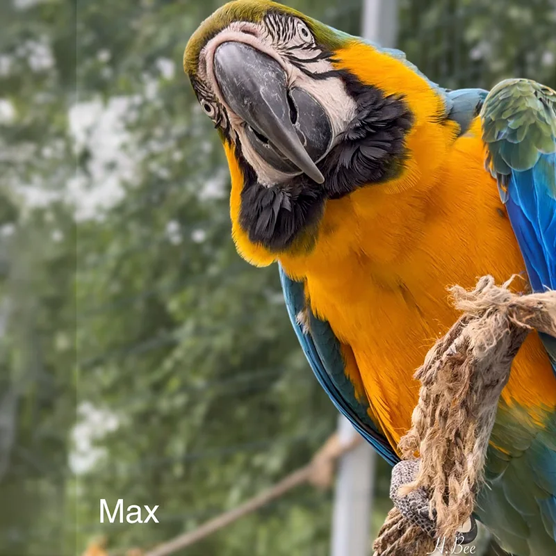 Max<br>700,- €