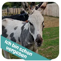 Mogli hat schon<br>eine Patenschaft
