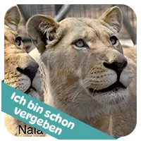 Nala hat schon<br>eine Patenschaft