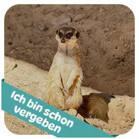 Rocky hat schon<br>eine Patenschaft