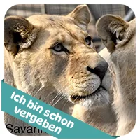 Savannah hat schon<br>eine Patenschaft