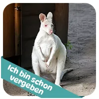 Schneeweißchen hat schon<br>eine Patenschaft