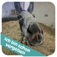 Susi hat schon<br>eine Patenschaft