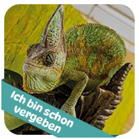 Susi hat schon<br>eine Patenschaft