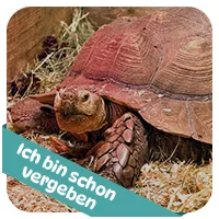 Tonga hat schon<br>eine Patenschaft