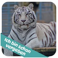 Valentina hat schon<br>eine Patenschaft