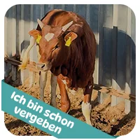 Wilma hat schon<br>eine Patenschaft