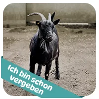 Ziegelinde hat schon<br>eine Patenschaft